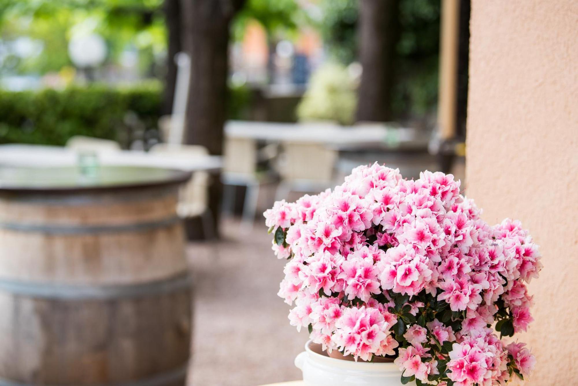Albergo Hotel Tesserete Eksteriør bilde