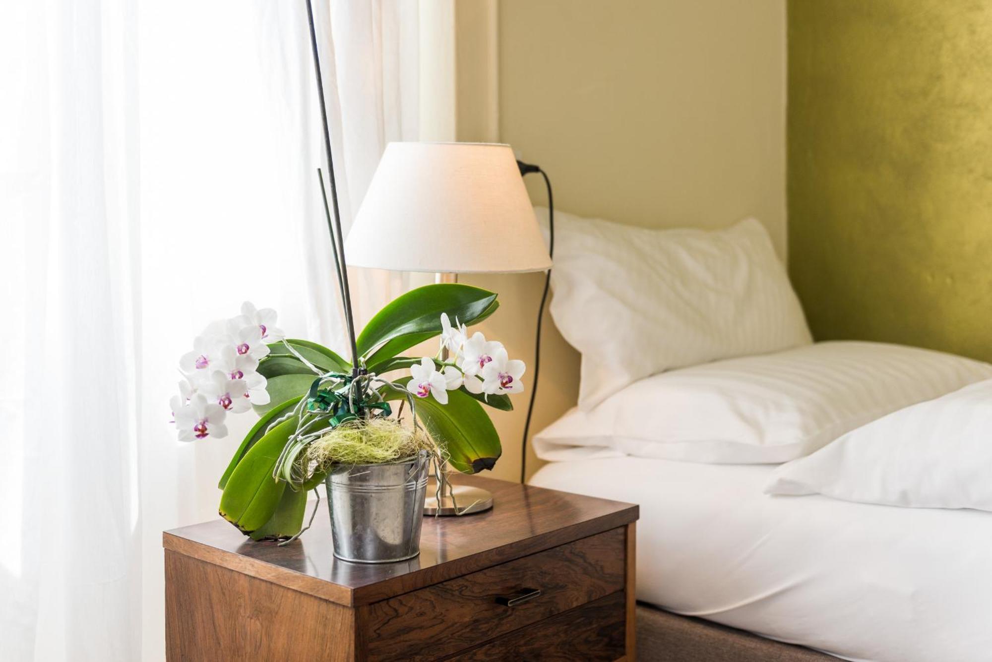 Albergo Hotel Tesserete Eksteriør bilde